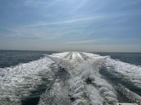Vivre